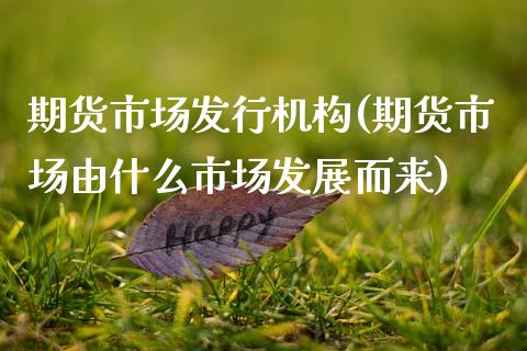 期货市场发行机构(期货市场由什么市场发展而来)_https://www.zghnxxa.com_内盘期货_第1张
