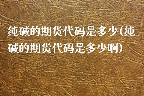 纯碱的期货代码是多少(纯碱的期货代码是多少啊)_期货直播室_第1张_期货直播室 纯碱的期货代码是多少(纯碱的期货代码是多少啊)_https://www.zghnxxa.com_期货直播室_第1张