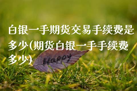 白银一手期货交易手续费是多少(期货白银一手手续费多少)_https://www.zghnxxa.com_黄金期货_第1张