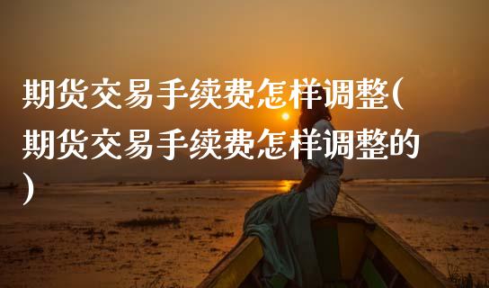 期货交易手续费怎样调整(期货交易手续费怎样调整的)_https://www.zghnxxa.com_期货直播室_第1张