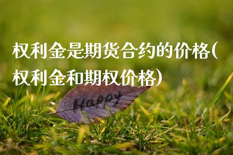 权利金是期货合约的价格(权利金和期权价格)_https://www.zghnxxa.com_内盘期货_第1张