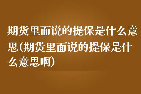 期货里面说的提保是什么意思(期货里面说的提保是什么意思啊)_https://www.zghnxxa.com_黄金期货_第1张