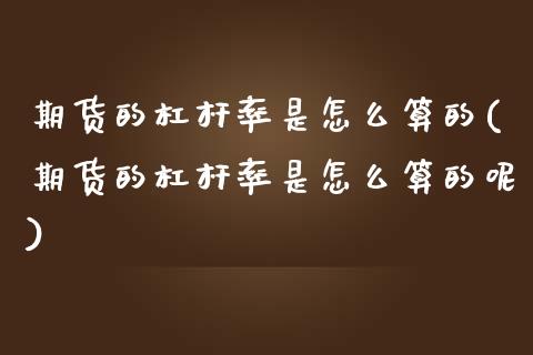 期货的杠杆率是怎么算的(期货的杠杆率是怎么算的呢)_https://www.zghnxxa.com_国际期货_第1张