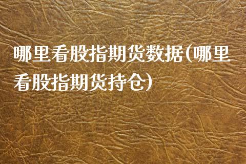 哪里看股指期货数据(哪里看股指期货持仓)_https://www.zghnxxa.com_内盘期货_第1张