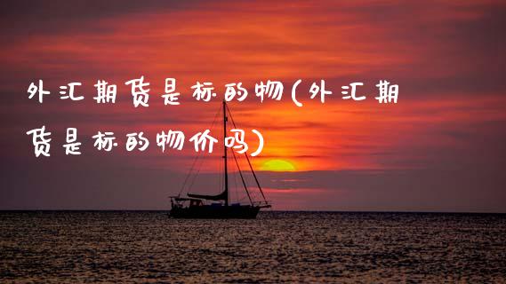 外汇期货是标的物(外汇期货是标的物价吗)_https://www.zghnxxa.com_国际期货_第1张