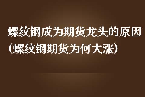 螺纹钢成为期货龙头的原因(螺纹钢期货为何大涨)_https://www.zghnxxa.com_内盘期货_第1张