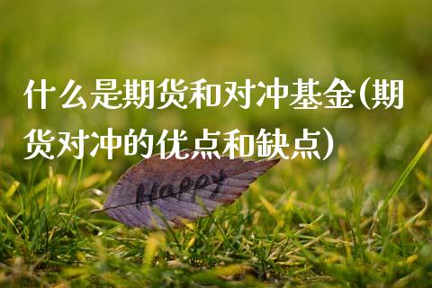什么是期货和对冲基金(期货对冲的优点和缺点)_内盘期货_第1张_期货直播室 什么是期货和对冲基金(期货对冲的优点和缺点)_https://www.zghnxxa.com_内盘期货_第1张