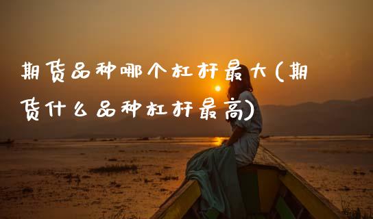 期货品种哪个杠杆最大(期货什么品种杠杆最高)_https://www.zghnxxa.com_国际期货_第1张