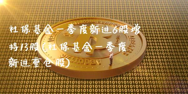社保基金一季度新进6股增持13股(社保基金一季度新进重仓股)_https://www.zghnxxa.com_黄金期货_第1张
