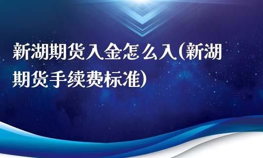 新湖期货入金怎么入(新湖期货手续费标准)_https://www.zghnxxa.com_国际期货_第1张