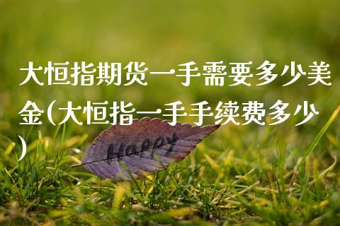 大恒指期货一手需要多少美金(大恒指一手手续费多少)_https://www.zghnxxa.com_黄金期货_第1张