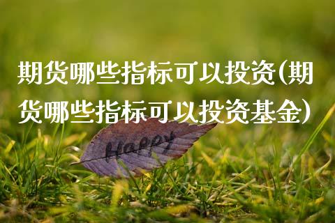 期货哪些指标可以投资(期货哪些指标可以投资基金)_https://www.zghnxxa.com_期货直播室_第1张