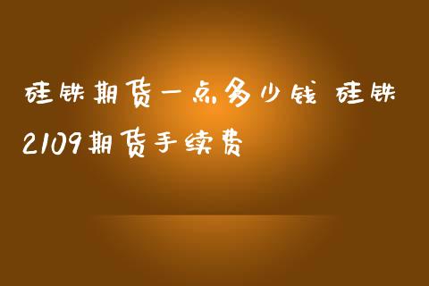 硅铁期货一点多少钱 硅铁2109期货手续费_https://www.zghnxxa.com_期货直播室_第1张