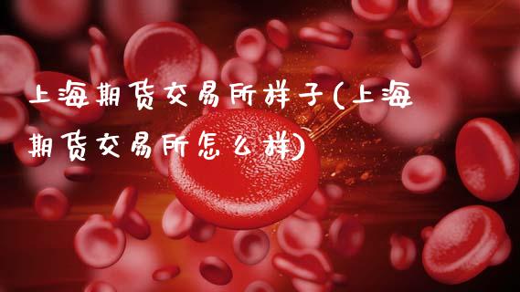 上海期货交易所样子(上海期货交易所怎么样)_https://www.zghnxxa.com_国际期货_第1张