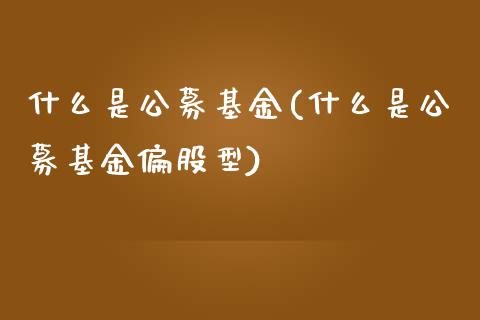 什么是公募基金(什么是公募基金偏股型)_https://www.zghnxxa.com_黄金期货_第1张