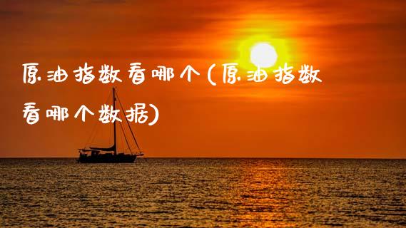 原油指数看哪个(原油指数看哪个数据)_期货直播室_第1张_期货直播室 原油指数看哪个(原油指数看哪个数据)_https://www.zghnxxa.com_期货直播室_第1张