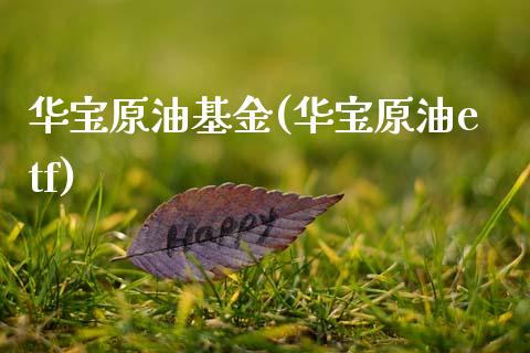 华宝原油基金(华宝原油etf)_期货直播室_第1张_期货直播室 华宝原油基金(华宝原油etf)_https://www.zghnxxa.com_期货直播室_第1张
