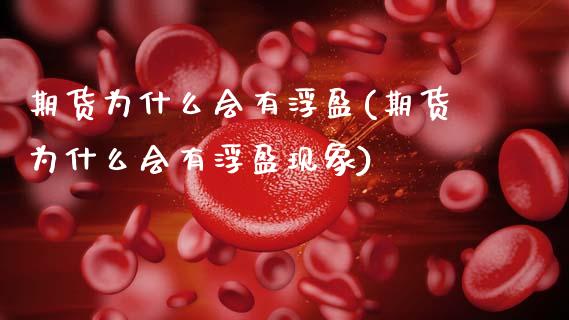 期货为什么会有浮盈(期货为什么会有浮盈现象)_https://www.zghnxxa.com_期货直播室_第1张