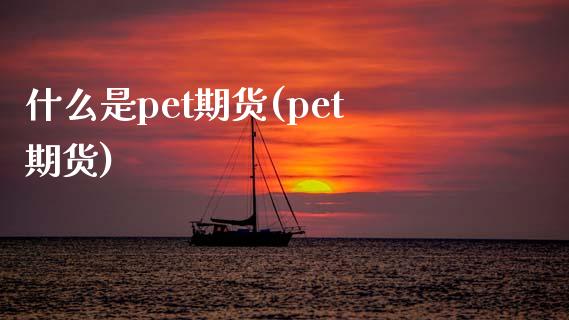 什么是pet期货(pet期货)_黄金期货_第1张_期货直播室 什么是pet期货(pet期货)_https://www.zghnxxa.com_黄金期货_第1张
