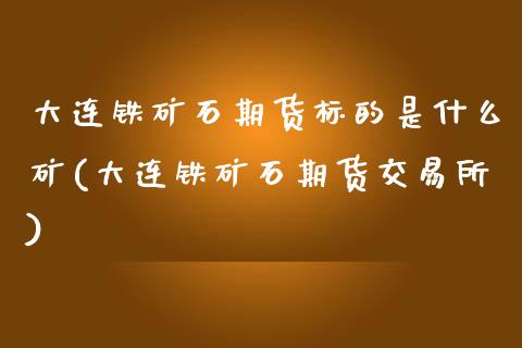 大连铁矿石期货标的是什么矿(大连铁矿石期货交易所)_https://www.zghnxxa.com_国际期货_第1张