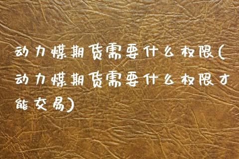 动力煤期货需要什么权限(动力煤期货需要什么权限才能交易)_https://www.zghnxxa.com_黄金期货_第1张